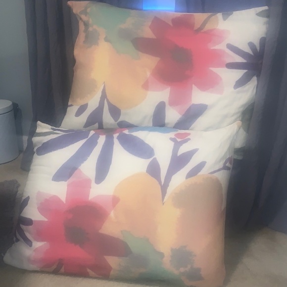 Shams - Picture 8 of 9